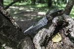 Couteau de chasse COUSIN WALTER