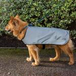 REFLECT360 Veste imperméable pour chien doublée en polaire - X Large