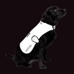DOG COAT SR veste réflechissante et imperméable pour Chien taille S