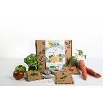 Ortusia Pack Apéro Kit potager connecté