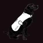 REFLECT360 Veste imperméable pour chien doublée en polaire - X Large