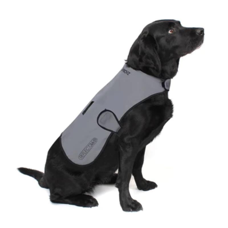 REFLECT360 Veste imperméable pour chien doublée en polaire - X Large