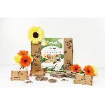 Ortusia Kit La fine Fleur potager connecté